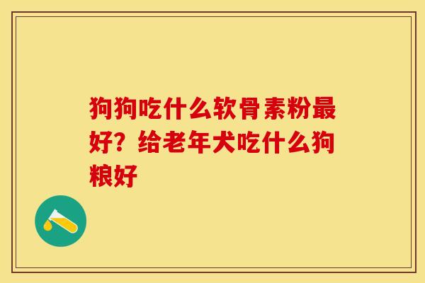 狗狗吃什么软骨素粉最好？给老年犬吃什么狗粮好
