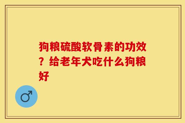 狗粮硫酸软骨素的功效？给老年犬吃什么狗粮好