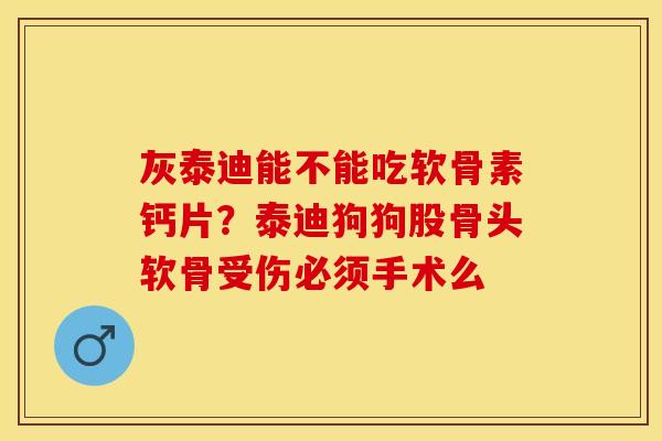 灰泰迪能不能吃软骨素钙片？泰迪狗狗股骨头软骨受伤必须手术么
