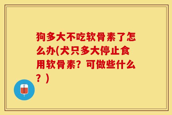 狗多大不吃软骨素了怎么办(犬只多大停止食用软骨素？可做些什么？)