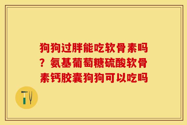 狗狗过胖能吃软骨素吗？氨基葡萄糖硫酸软骨素钙胶囊狗狗可以吃吗