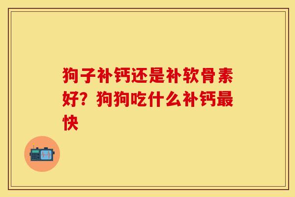 狗子补钙还是补软骨素好？狗狗吃什么补钙最快