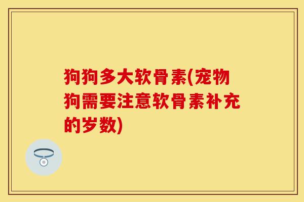狗狗多大软骨素(宠物狗需要注意软骨素补充的岁数)