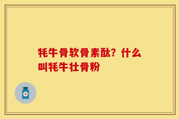 牦牛骨软骨素酞？什么叫牦牛壮骨粉
