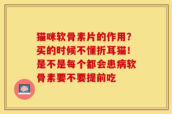 猫咪软骨素片的作用？买的时候不懂折耳猫！是不是每个都会患病软骨素要不要提前吃