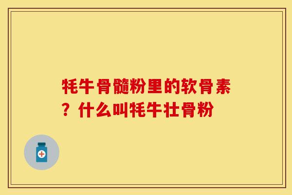 牦牛骨髓粉里的软骨素？什么叫牦牛壮骨粉