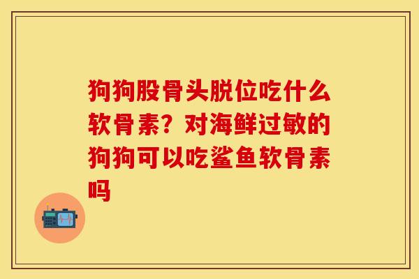 狗狗股骨头脱位吃什么软骨素？对海鲜过敏的狗狗可以吃鲨鱼软骨素吗
