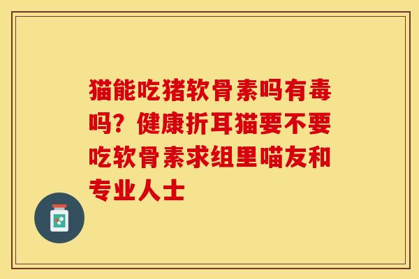 猫能吃猪软骨素吗有毒吗？健康折耳猫要不要吃软骨素求组里喵友和专业人士
