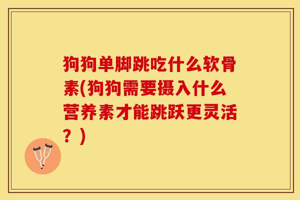 狗狗单脚跳吃什么软骨素(狗狗需要摄入什么营养素才能跳跃更灵活？)