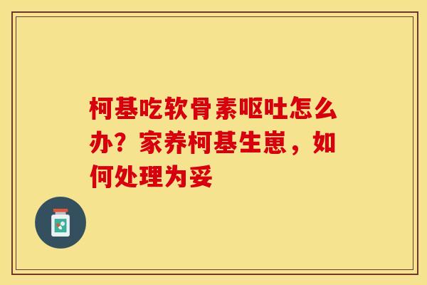 柯基吃软骨素呕吐怎么办？家养柯基生崽，如何处理为妥