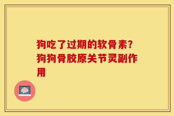 狗吃了过期的软骨素？狗狗骨胶原关节灵副作用