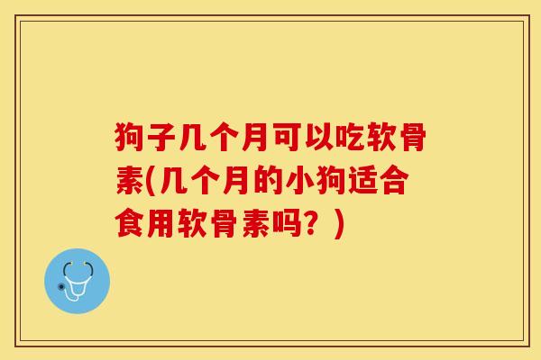 狗子几个月可以吃软骨素(几个月的小狗适合食用软骨素吗？)