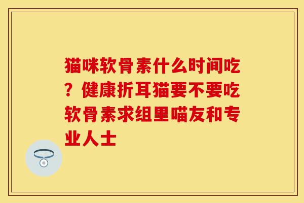 猫咪软骨素什么时间吃？健康折耳猫要不要吃软骨素求组里喵友和专业人士