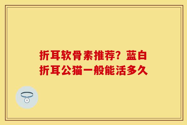 折耳软骨素推荐？蓝白折耳公猫一般能活多久