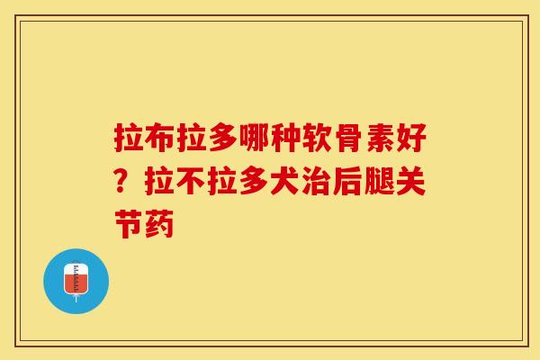 拉布拉多哪种软骨素好？拉不拉多犬治后腿关节药