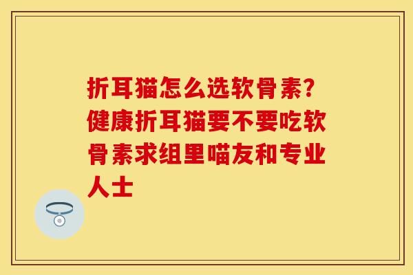 折耳猫怎么选软骨素？健康折耳猫要不要吃软骨素求组里喵友和专业人士