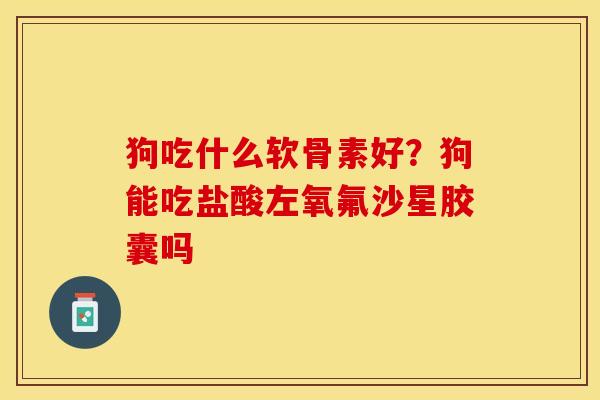 狗吃什么软骨素好？狗能吃盐酸左氧氟沙星胶囊吗