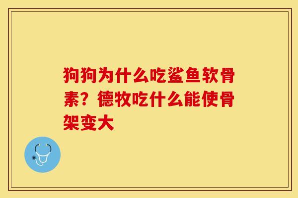 狗狗为什么吃鲨鱼软骨素？德牧吃什么能使骨架变大