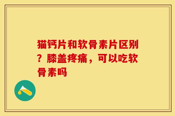 猫钙片和软骨素片区别？膝盖疼痛，可以吃软骨素吗