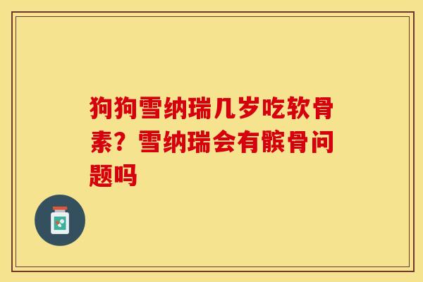 狗狗雪纳瑞几岁吃软骨素？雪纳瑞会有髌骨问题吗