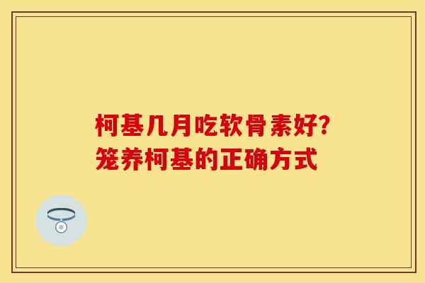 柯基几月吃软骨素好？笼养柯基的正确方式