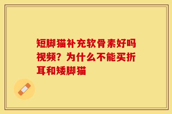 短脚猫补充软骨素好吗视频？为什么不能买折耳和矮脚猫