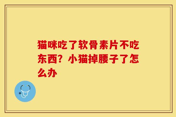 猫咪吃了软骨素片不吃东西？小猫掉腰子了怎么办