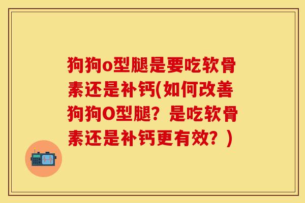 狗狗o型腿是要吃软骨素还是补钙(如何改善狗狗O型腿？是吃软骨素还是补钙更有效？)