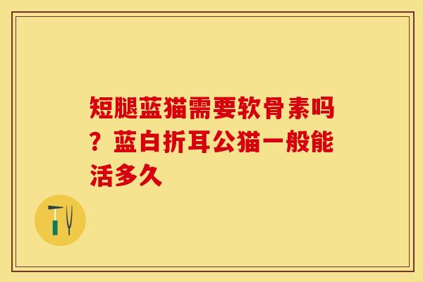 短腿蓝猫需要软骨素吗？蓝白折耳公猫一般能活多久