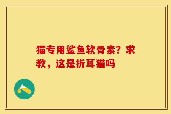 猫专用鲨鱼软骨素？求教，这是折耳猫吗