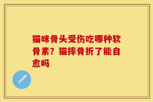 猫咪骨头受伤吃哪种软骨素？猫摔骨折了能自愈吗