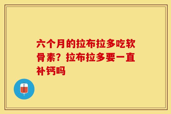 六个月的拉布拉多吃软骨素？拉布拉多要一直补钙吗
