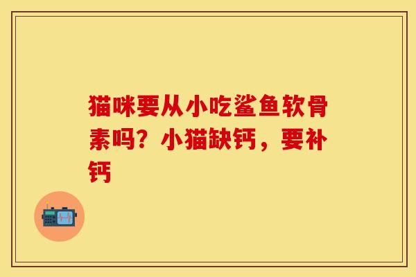 猫咪要从小吃鲨鱼软骨素吗？小猫缺钙，要补钙