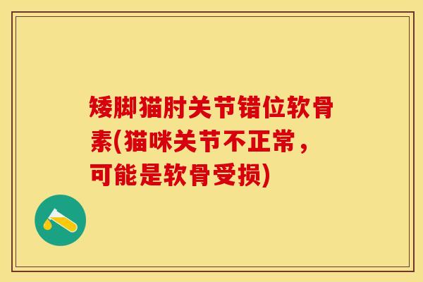 矮脚猫肘关节错位软骨素(猫咪关节不正常，可能是软骨受损)