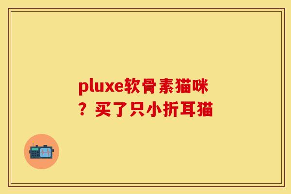 pluxe软骨素猫咪？买了只小折耳猫