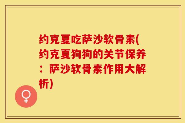 约克夏吃萨沙软骨素(约克夏狗狗的关节保养：萨沙软骨素作用大解析)
