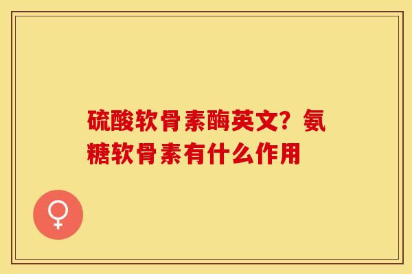 硫酸软骨素酶英文？氨糖软骨素有什么作用