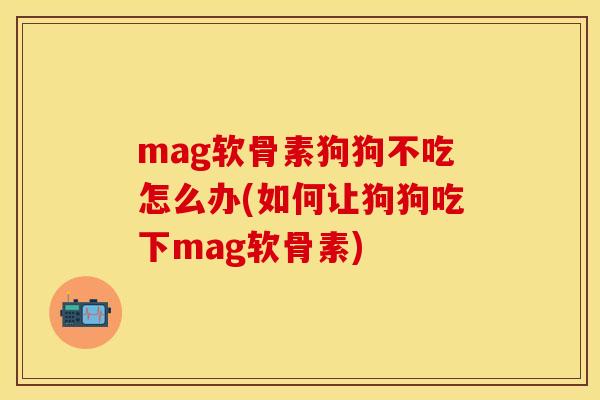 mag软骨素狗狗不吃怎么办(如何让狗狗吃下mag软骨素)