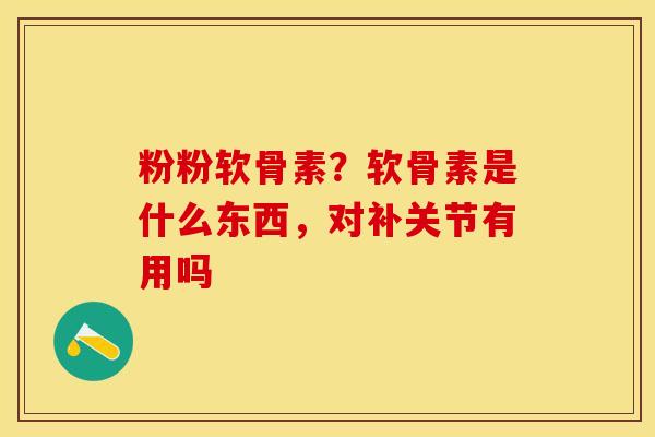 粉粉软骨素？软骨素是什么东西，对补关节有用吗