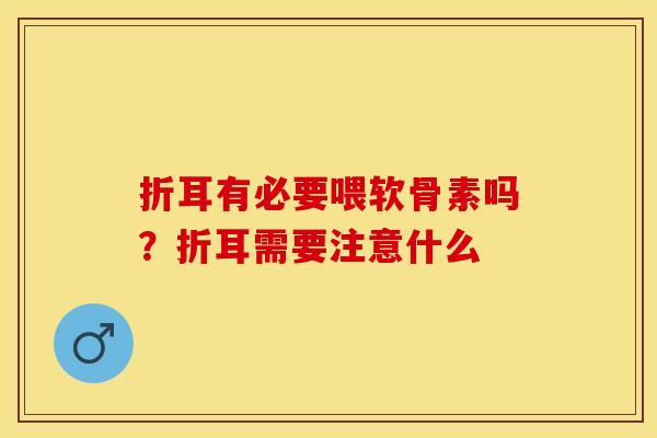 折耳有必要喂软骨素吗？折耳需要注意什么