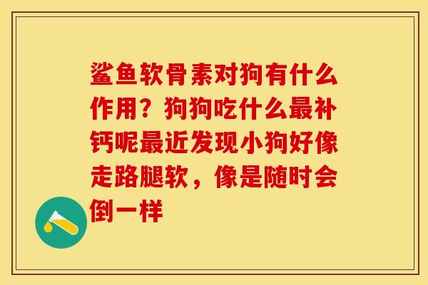 鲨鱼软骨素对狗有什么作用？狗狗吃什么最补钙呢最近发现小狗好像走路腿软，像是随时会倒一样