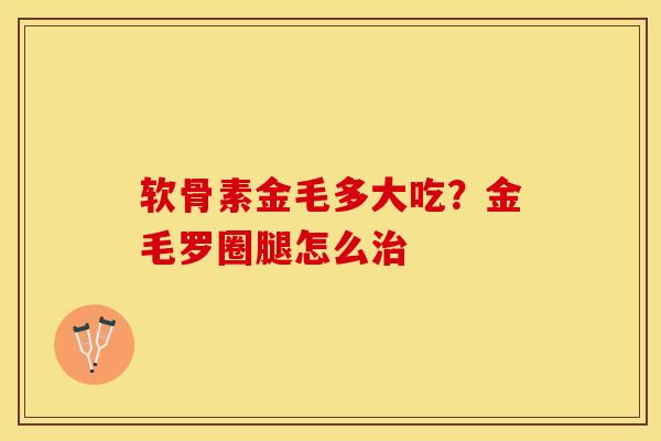 软骨素金毛多大吃？金毛罗圈腿怎么治-第1张图片-关节保镖