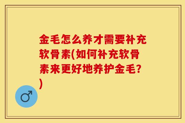 金毛怎么养才需要补充软骨素(如何补充软骨素来更好地养护金毛？)