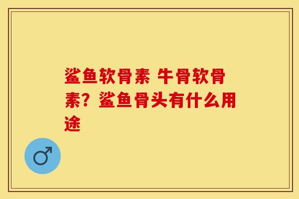 鲨鱼软骨素 牛骨软骨素？鲨鱼骨头有什么用途