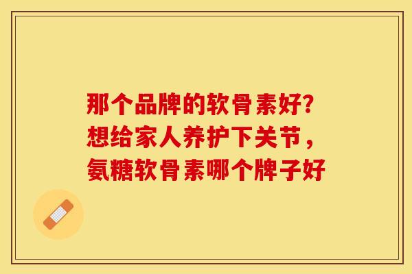 那个品牌的软骨素好？想给家人养护下关节，氨糖软骨素哪个牌子好