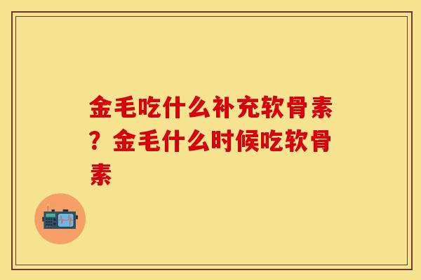 金毛吃什么补充软骨素？金毛什么时候吃软骨素