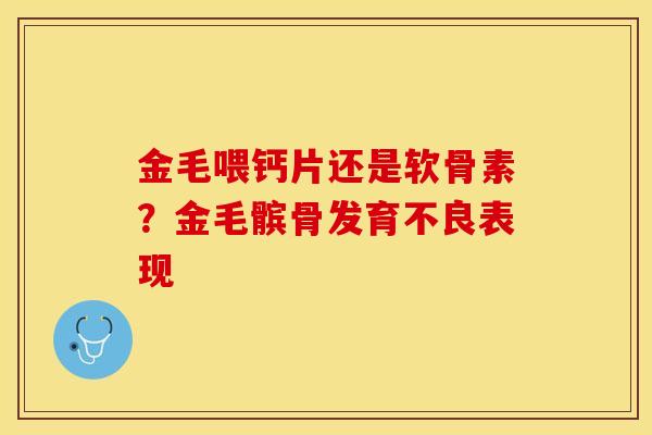 金毛喂钙片还是软骨素？金毛髌骨发育不良表现