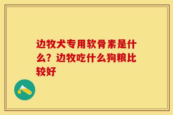 边牧犬专用软骨素是什么？边牧吃什么狗粮比较好