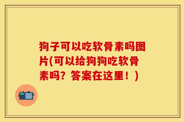 狗子可以吃软骨素吗图片(可以给狗狗吃软骨素吗？答案在这里！)-第1张图片-关节保镖