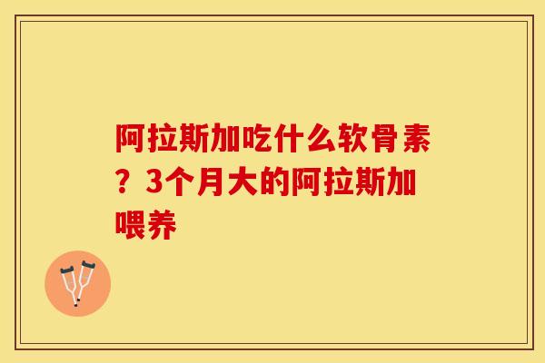 阿拉斯加吃什么软骨素？3个月大的阿拉斯加喂养